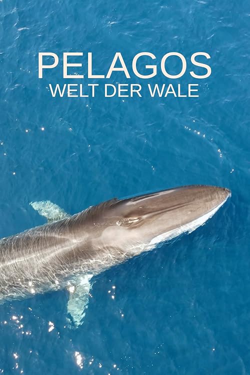 Pelagos - Welt der Wale