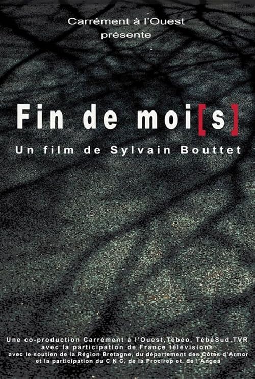 Fin de moi(s)