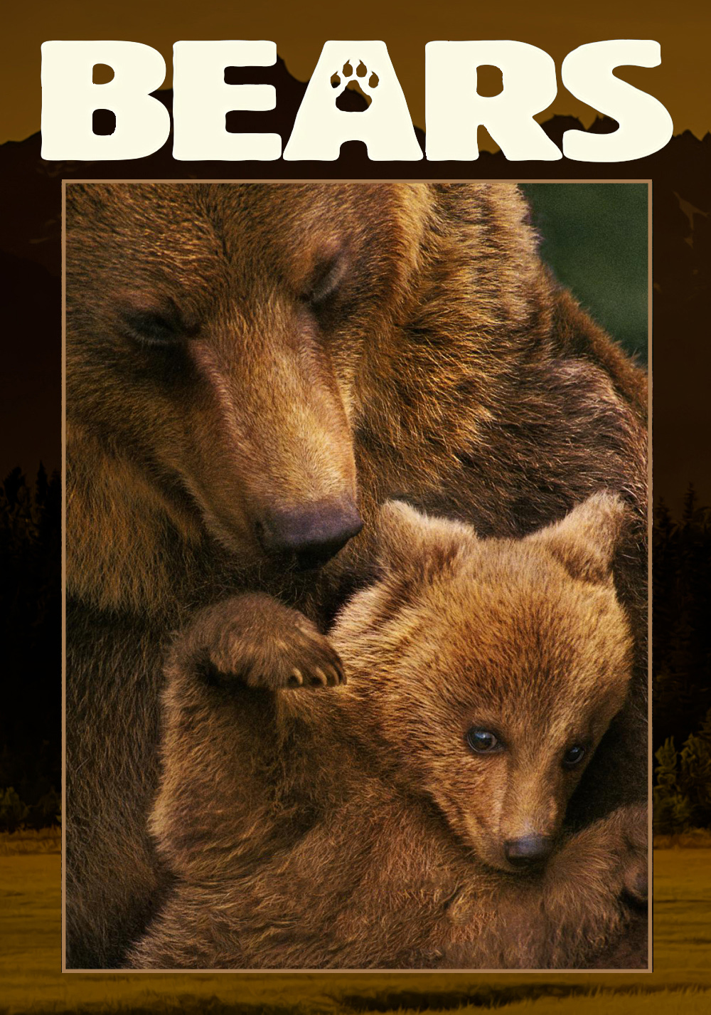 Bears