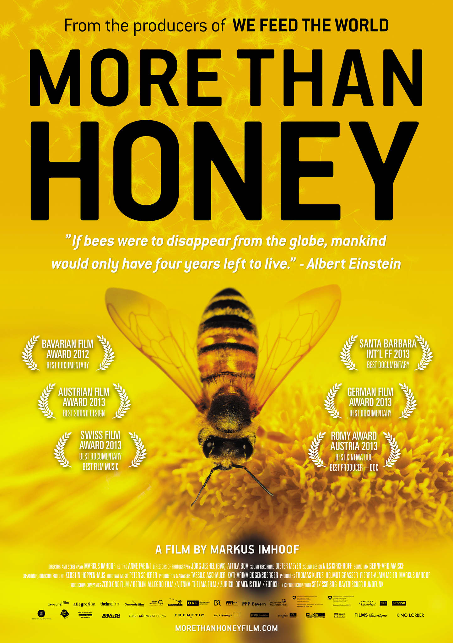 More than Honey - Bitterer Honig