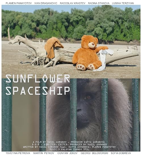 Sunflower Spaceship 1