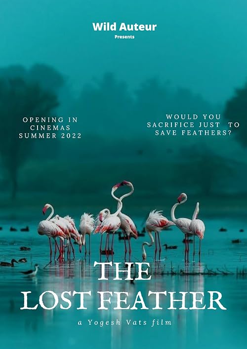 Lost Feathers
