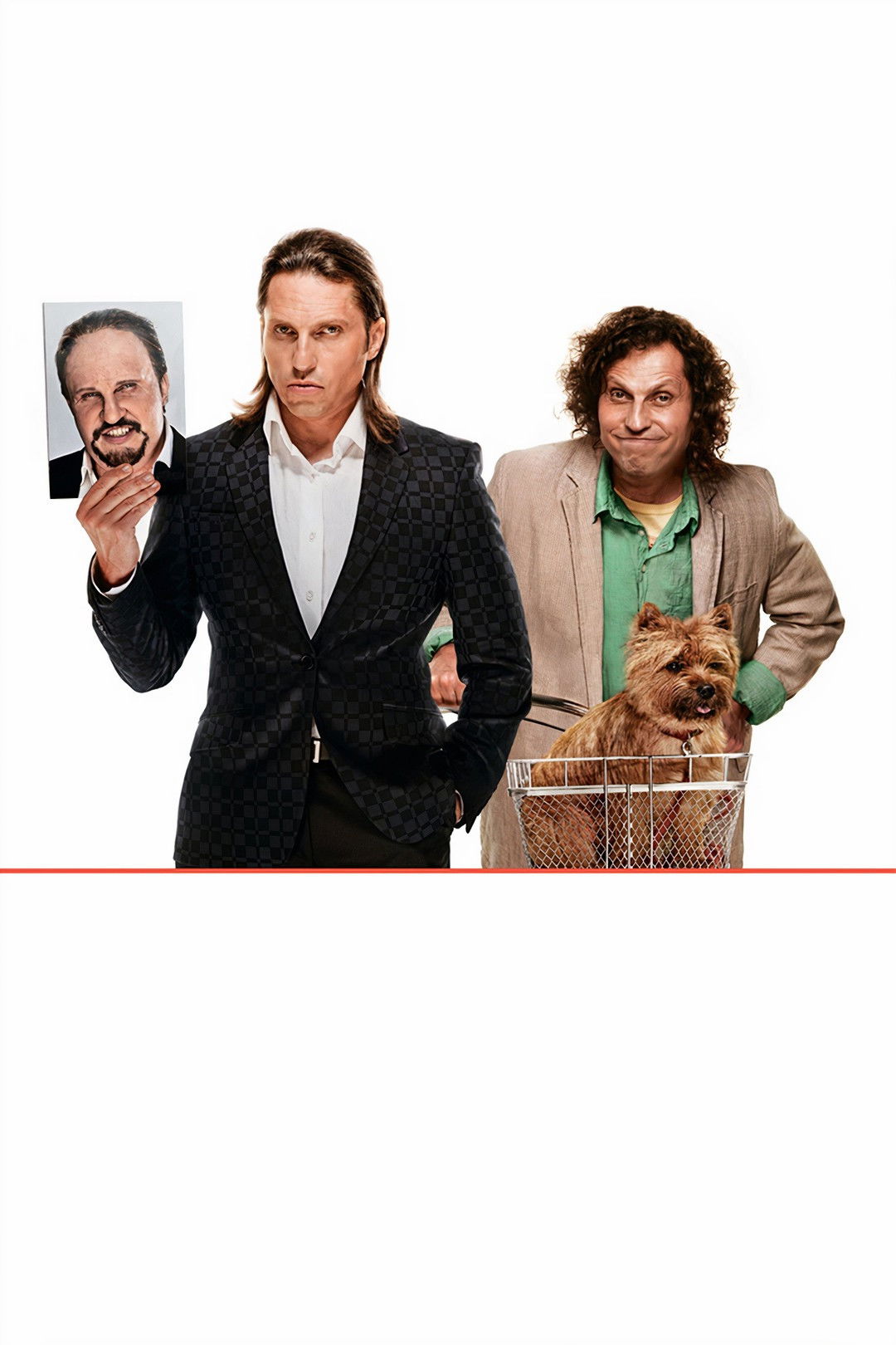 Дублер (фільм, 2013)
