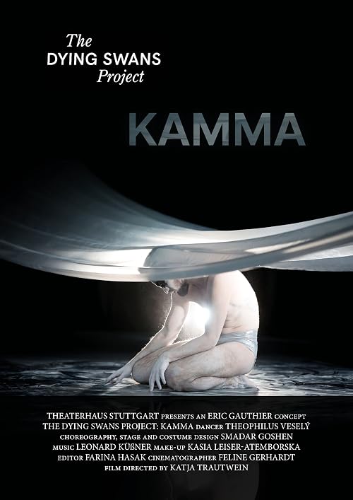 The Dying Swans Project: Kamma