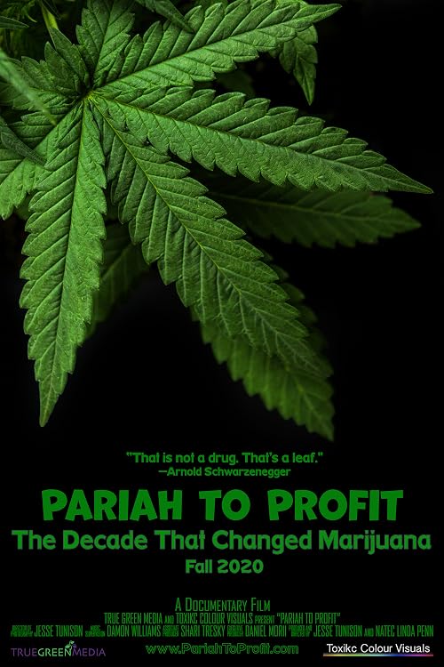 Pariah to Profit: Accepting the Power of Marijuana