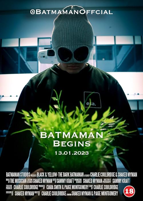 Batmaman Begins