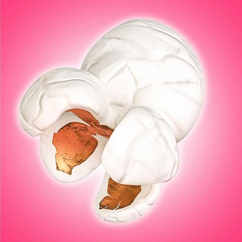 The Pink Popcast