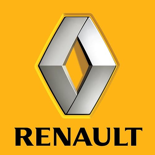 Renault Master - Stam