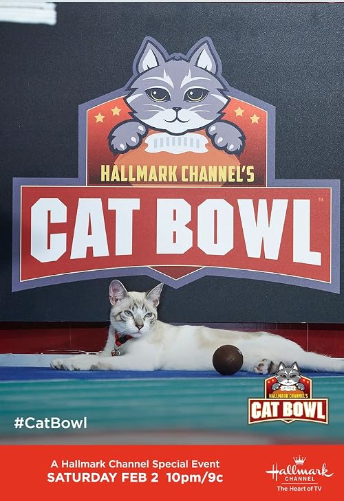 Cat Bowl II