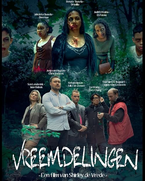 Vreemdelingen