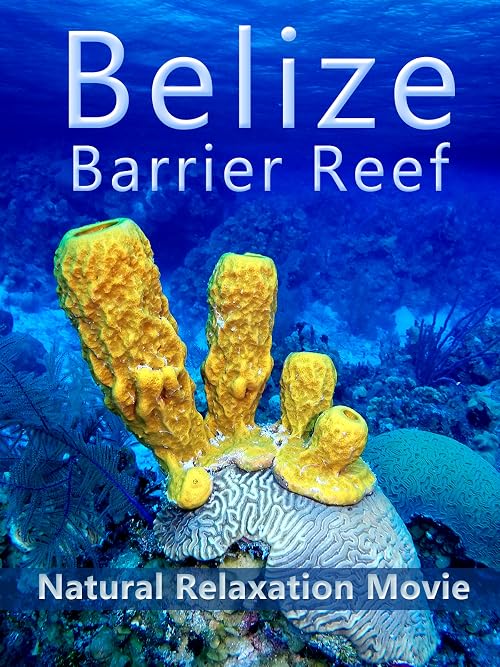 Belize Barrier Reef: Natural Relaxation Movie