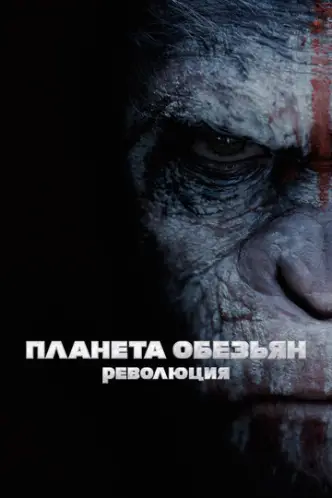 Світанок планети мавп