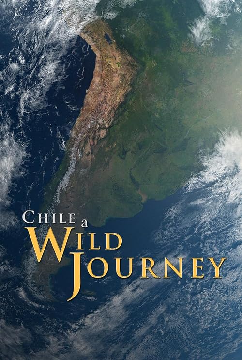 Chile: A wild journey