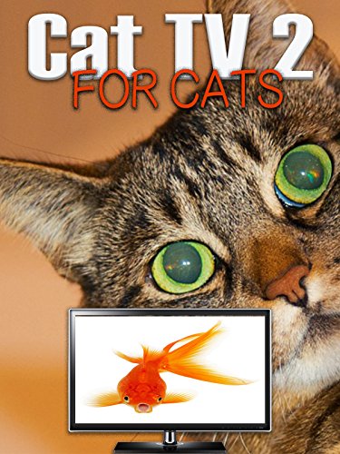 Cat TV: For Cats