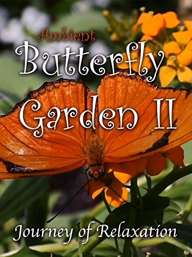 Ambient Butterfly Garden II: Journey of Relaxation