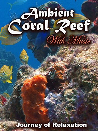 Ambient Coral Reef: Journey of Relaxation