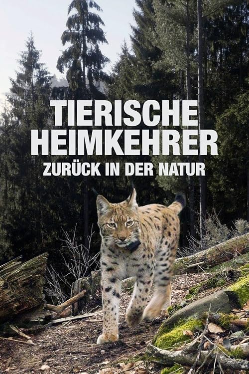 Tierische Heimkehrer: Zurück in der Natur