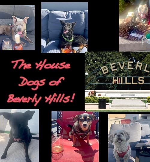Bitches of Beverly Hills