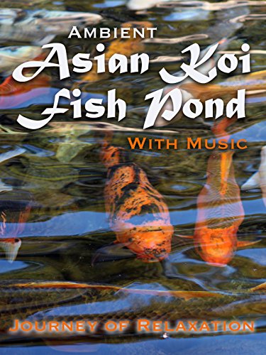 Ambient Asian Koi Pond
