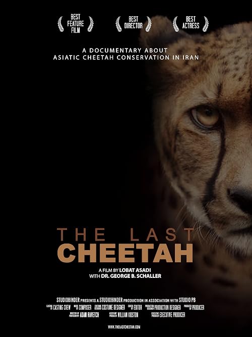 The Last Cheetah