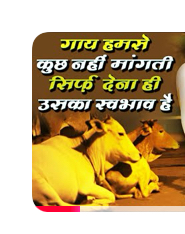 Ramayan Kal Aaj Aur Kal: Gaay Humse Kuch Nahi Mangti