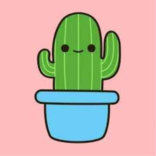 Cactus ASMR