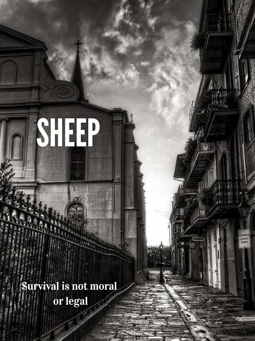 Sheep