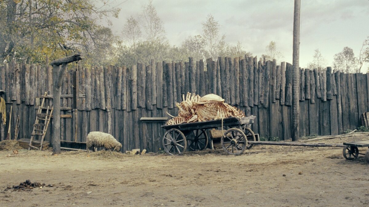 В тумане — кадр 2