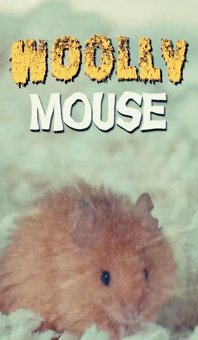 The Colossal Woolly Mouse