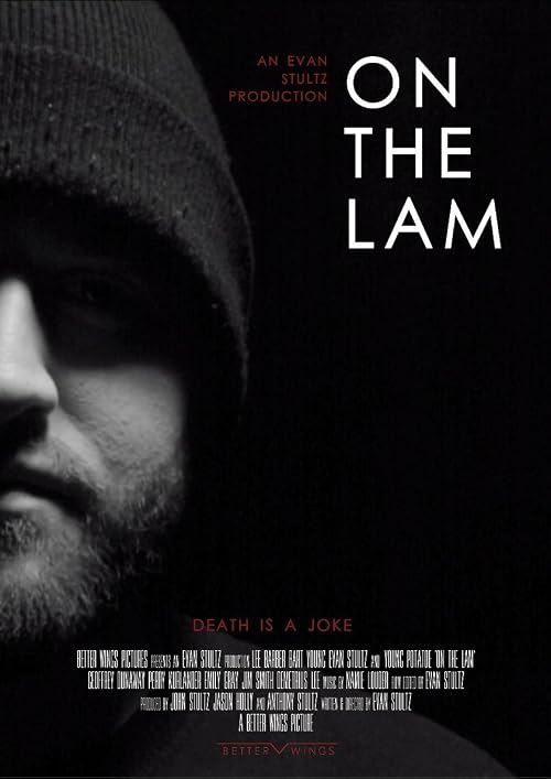On the Lam