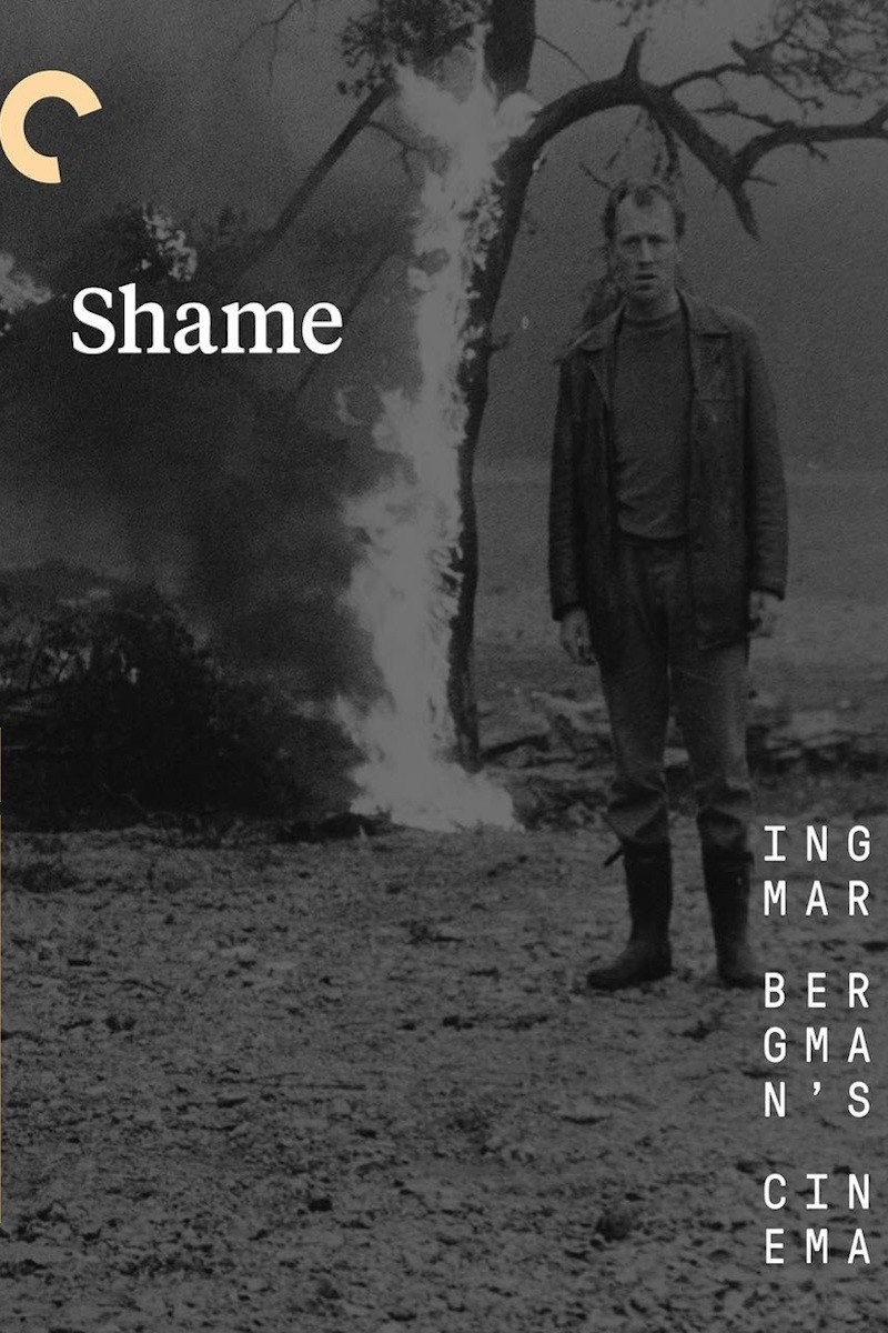 Shame
