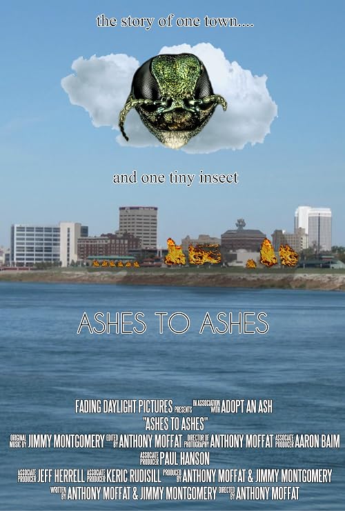 Ashes to Ashes