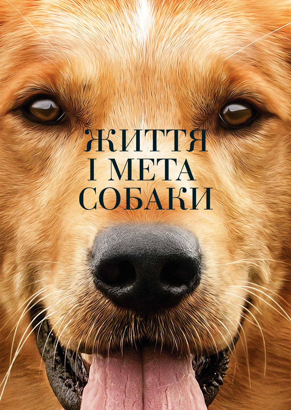 Життя і мета собаки