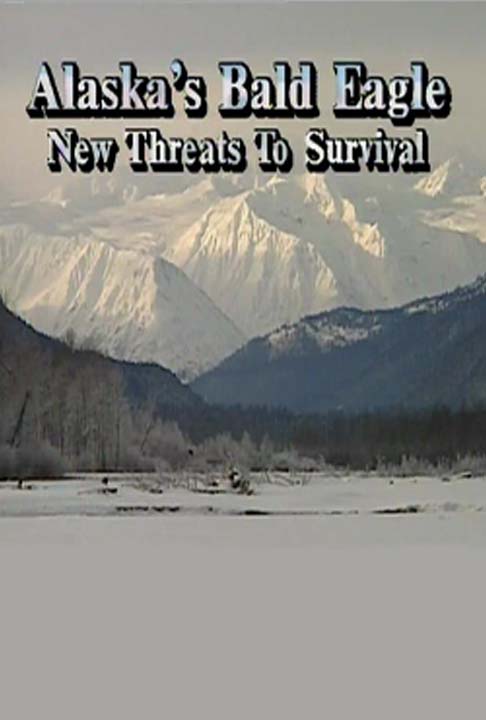 Alaska's Bald Eagle: New Threats to Survival