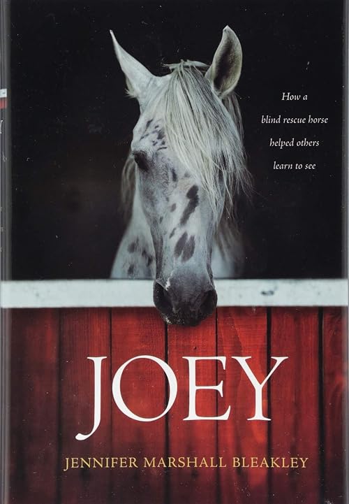 Untitled Joey Project