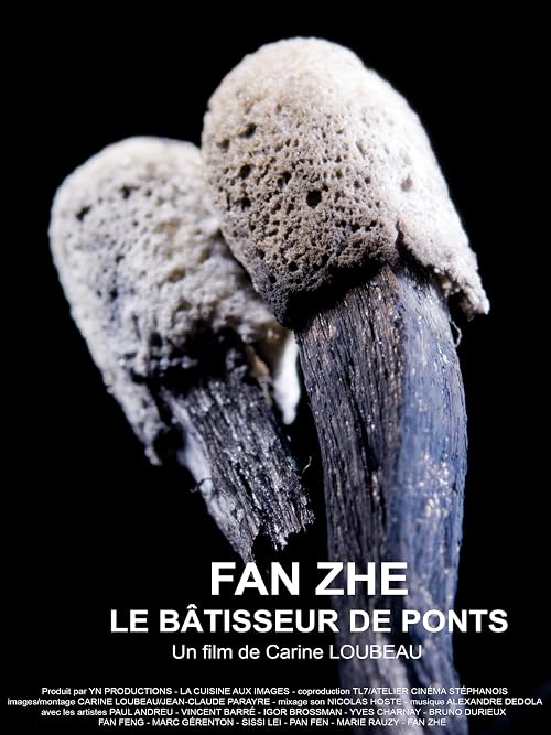 Fan Zhe, Le Bâtisseur De Ponts