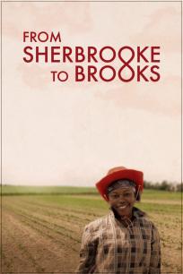 From Sherbrooke to Brooks - Inside a Migration Corridor