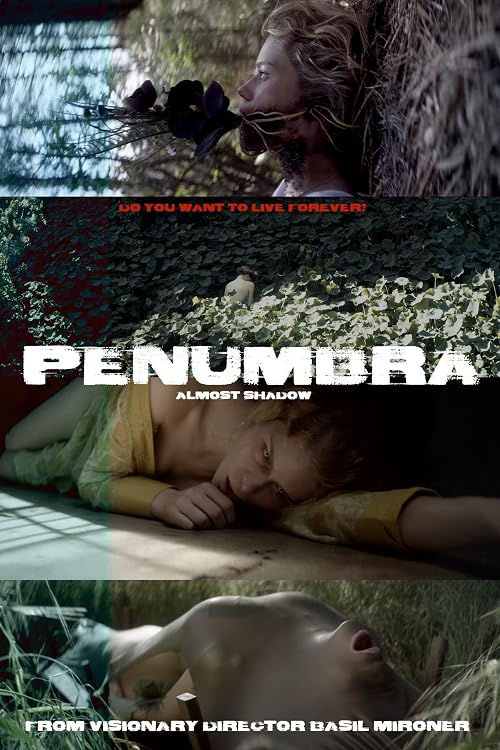 Penumbra