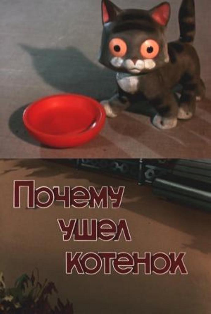 Why Did the Kitten Go Away?