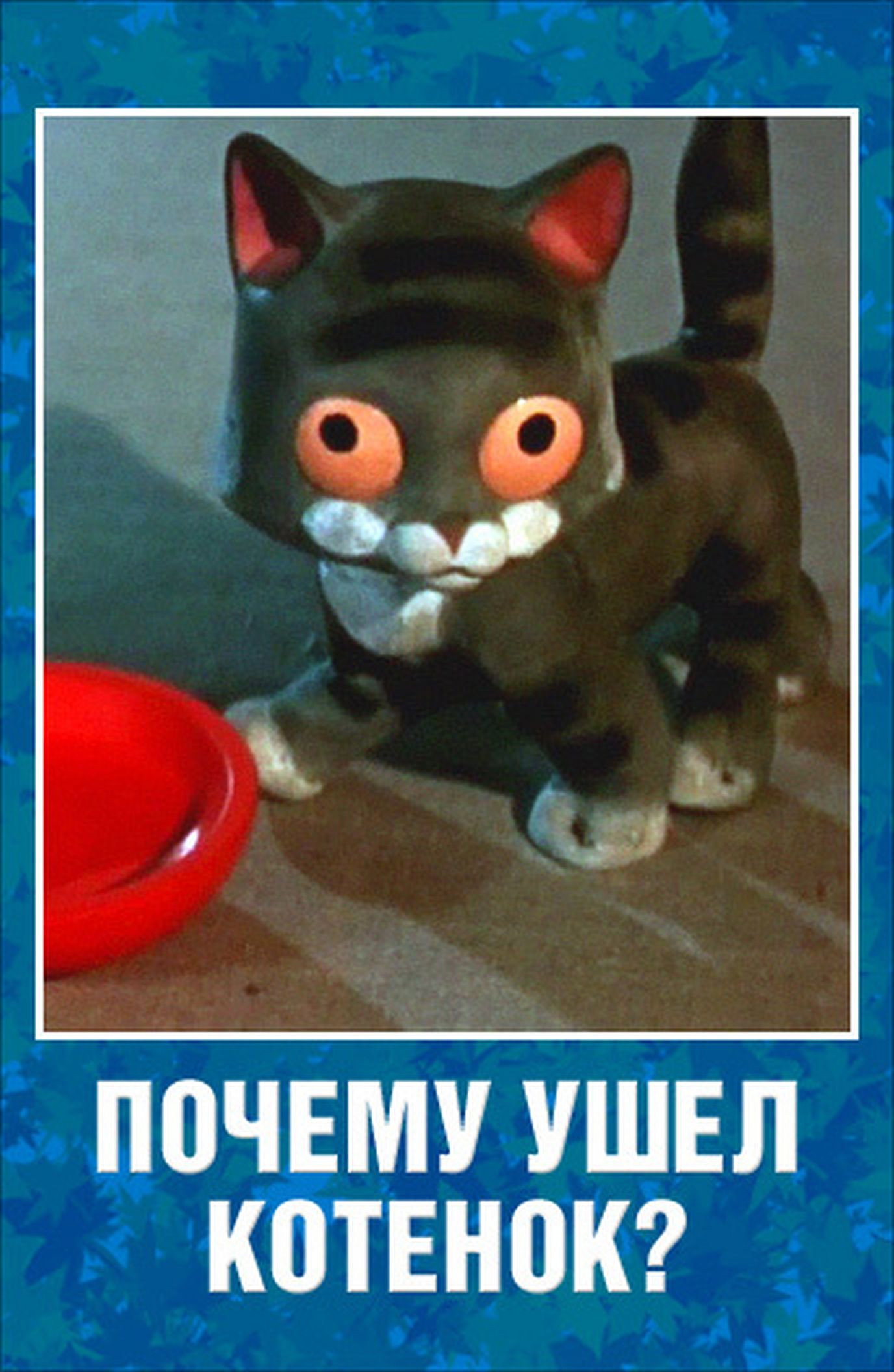 Почему ушел котенок