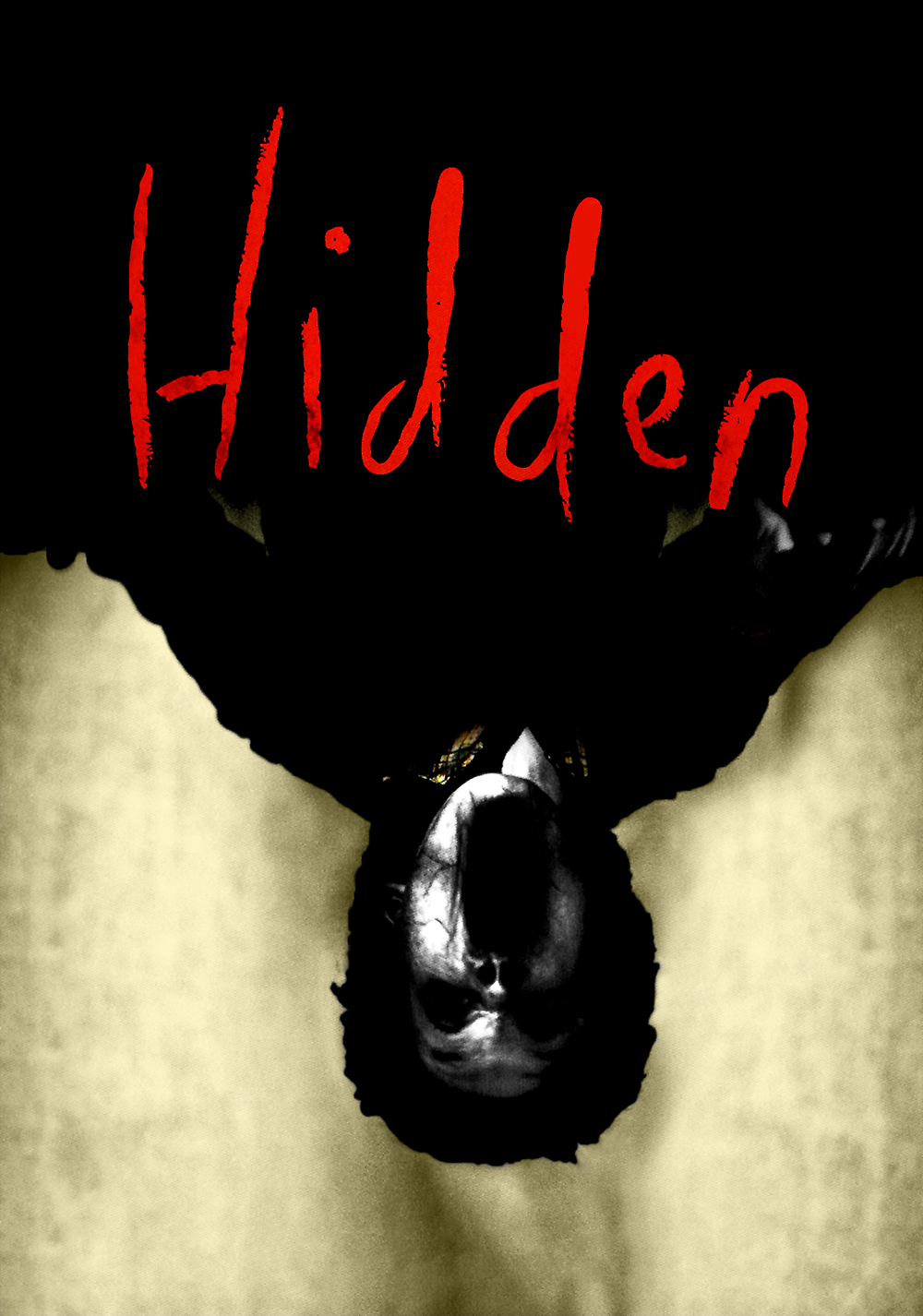Hidden 3D