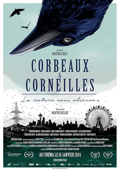 Corbeaux & corneilles: la nature nous observe!