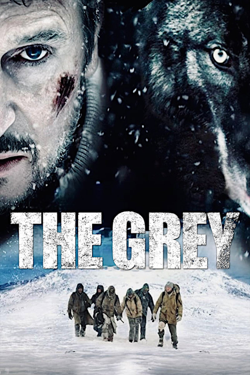 The Grey