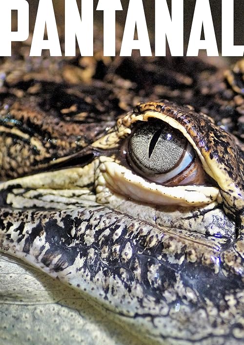 Pantanal: Série