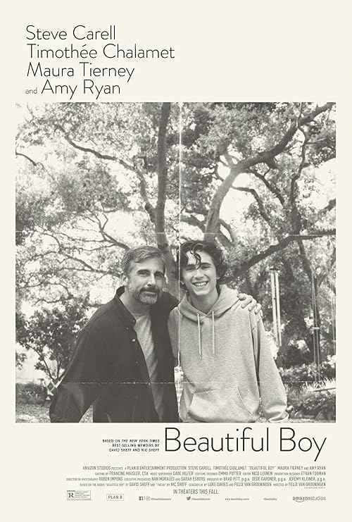 Beautiful Boy Writer Q&A
