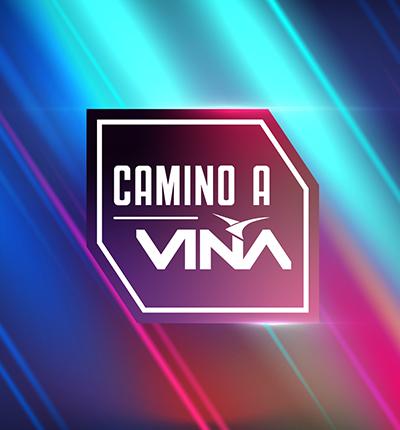 Camino a Viña