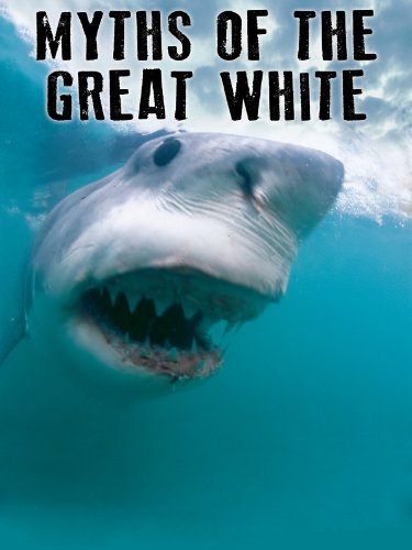 A Myth Called Shark