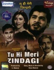Tu hi meri zindagi