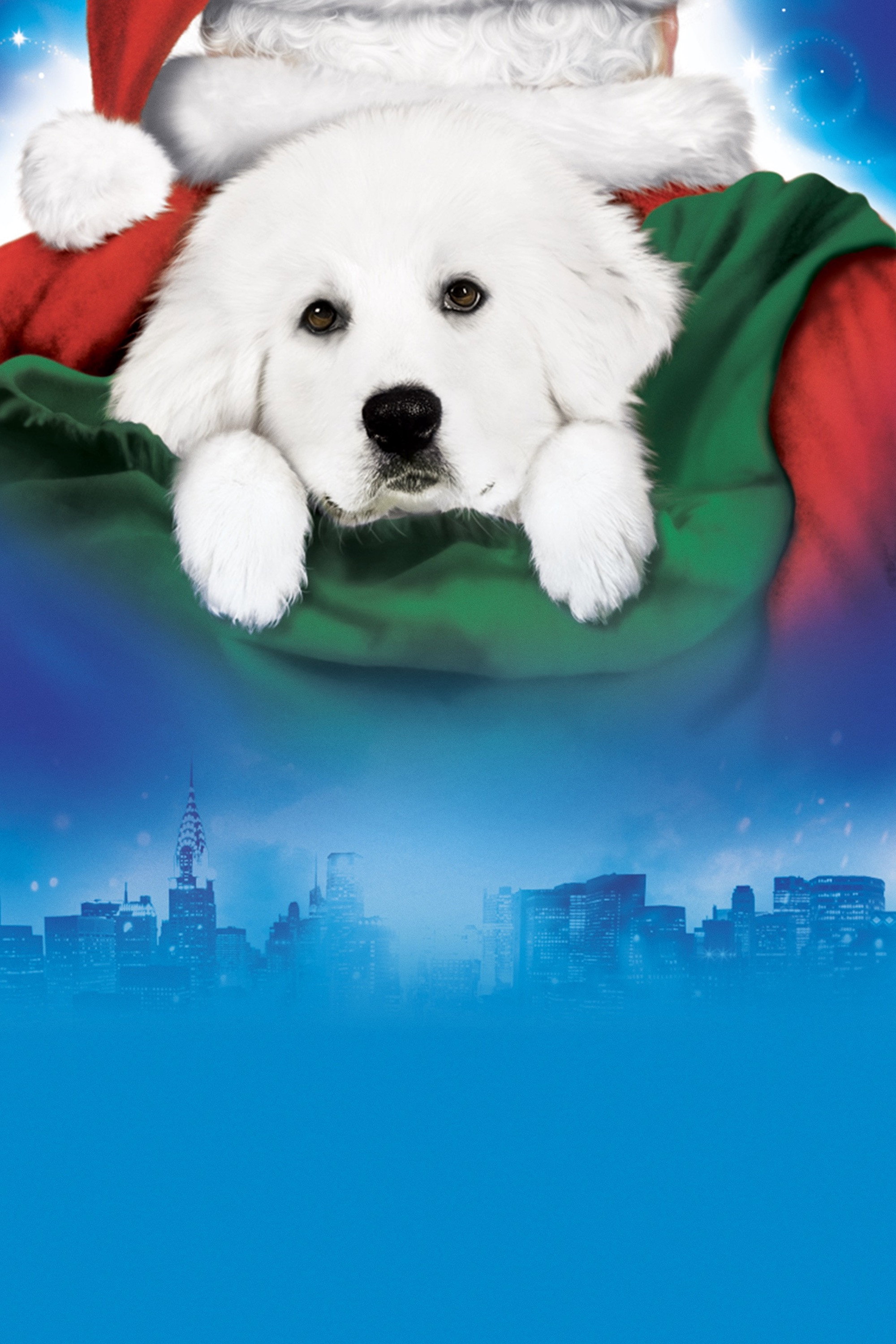 The Search for Santa Paws