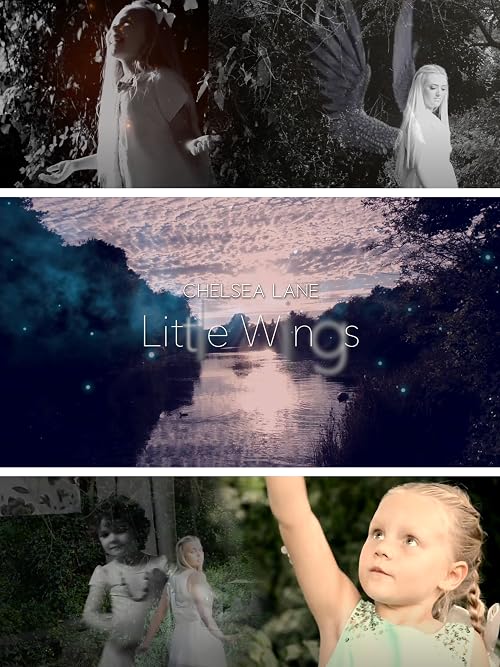 Little Wings